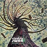 ELECTRIC SWAN