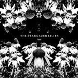 STARGAZER LILIES