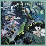 HONEY POT