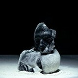 BELIEF DEFECT BELIEF DEFECT