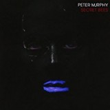 MURPHY PETER