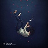 POLARIS POLARIS