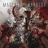 MAGENTA HARVEST MAGENTA HARVEST