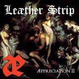LEAETHER STRIP LEAETHER STRIP