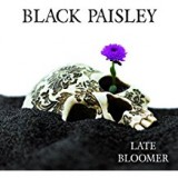 BLACK PAISLEY