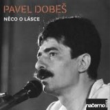 DOBES PAVEL DOBES PAVEL