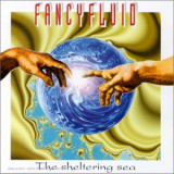 FANCYFLUID