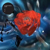 TEENGIRL FANTASY TEENGIRL FANTASY