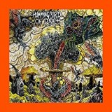 HUMMINGBIRD OF DEATH