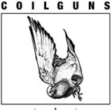 COILGUNS