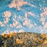 MOON GANGS MOON GANGS