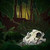 RIVERS NICO & THE BLACK GRASS