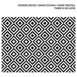 SYLVIAN DAVID & RHODRI DAVIES