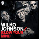 JOHNSON WILKO