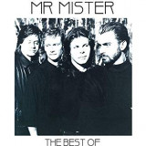 MR. MISTER MR. MISTER