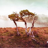 SLOWLY ROLLING CAMERA SLOWLY ROLLING CAMERA