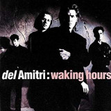 DEL AMITRI