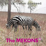 MEKONS 77