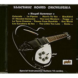 ELECTRIC SOUND ORCHESTRA