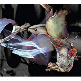 PARALLEL WORLDS & DAVE BESSELL