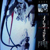 TOBIN AMON TOBIN AMON