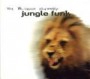 JUNGLE FUNK (WIMBISH & CALHOUN & VINX)