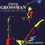 GROSSMAN STEVE (CEDAR WALTON TRIO)