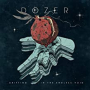 DOZER DOZER