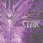 CYNIC