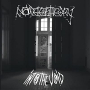 NAMELESS THEORY NAMELESS THEORY