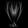 RAUM KINGDOM RAUM KINGDOM