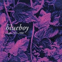 BLUEBOY