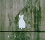 DAVID & THE CITIZENS