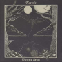 NOCTULE NOCTULE