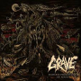 GRAVE