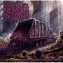 FATUOUS RUMP