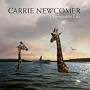 NEWCOMER CARRIE NEWCOMER CARRIE