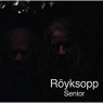 ROYKSOPP ROYKSOPP