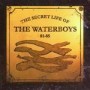 WATERBOYS WATERBOYS