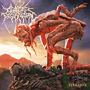 CATTLE DECAPITATION