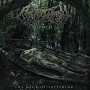 CRYPTOPSY