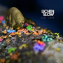 LICHEN SLOW LICHEN SLOW