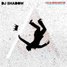 DJ SHADOW DJ SHADOW