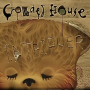 CROWDED HOUSE