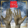 MR. BIG