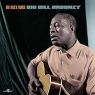 BIG BILL BROONZY