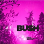 BUSH