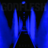 GODFLESH GODFLESH