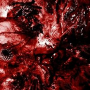 EXCRESCENCE