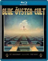 BLUE OYSTER CULT